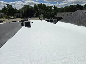 Commercial Roofing Company Portage, MI 1