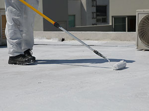 EPDM Roof Restoration Lansing, MI 1