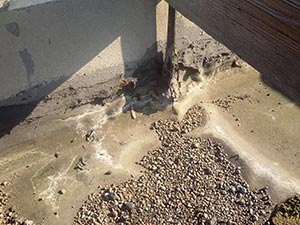 Dark-colored cat crouched near a concrete corner with a wooden beam, on a damp surface with scattered pebbles.