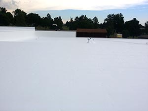 Flat-Roof-Sealing-Wyoming-MI-Michigan-1 | JM Roofing Solutions