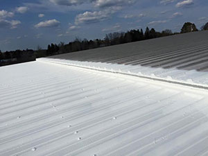 Roof-Restoration-Walker-MI-Michigan-1 | JM Roofing Solutions
