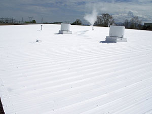 Roof-Restoration-Walker-MI-Michigan-2 | JM Roofing Solutions
